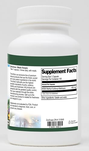 MSM - 450 mg (100 Capsules, ZIN: 510649) - 3 Pack Terravita Au supplements