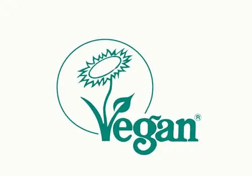 Sevenhills Wholefoods Organic Rice Protein Powder 500g Sevenhills Wholefoods Au supplements