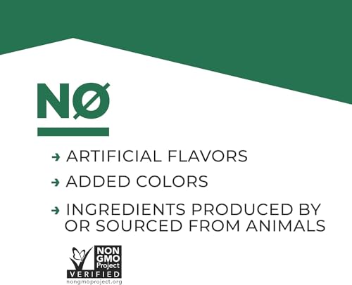 Evolve Plant Based Protein Shake, Vanilla Bean, 20g Vegan Protein, Dairy Free Evolve Au supplements