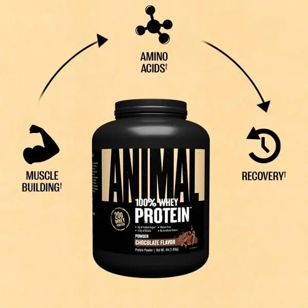 Animal 100% Whey Protein Powder – Whey Blend for Pre- or Post-Workout, Recovery Animal Au supplements