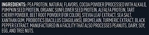Vega Sport Premium Vegan Protein Powder, Chocolate - 30g Plant Based Protein, 5g BCAA Vega Au supplements
