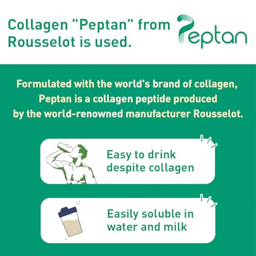 Muscle Colllagen Protein Collagen Peptides Powder Chocolate Flavored Dietary Supplement Muscle Collagen Au supplements
