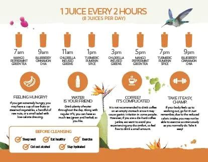 LEMONKIND 3-Day PROTEIN Juice Cleanse – High Protein Detox to Boost LEMONKIND Au supplements