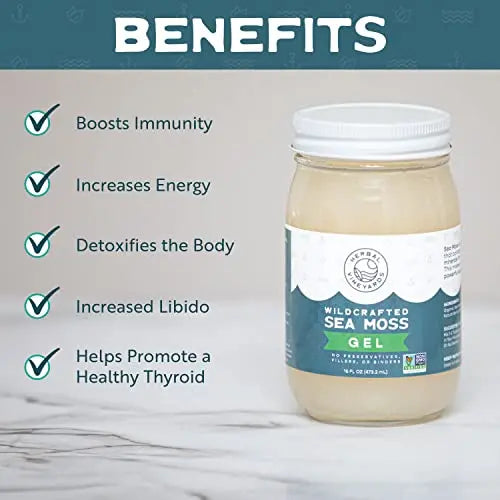 Herbal Vineyards Natural Organic Wildcrafted Gold Raw Sea Moss Gel for Immune Support Herbal Vineyards Au supplements