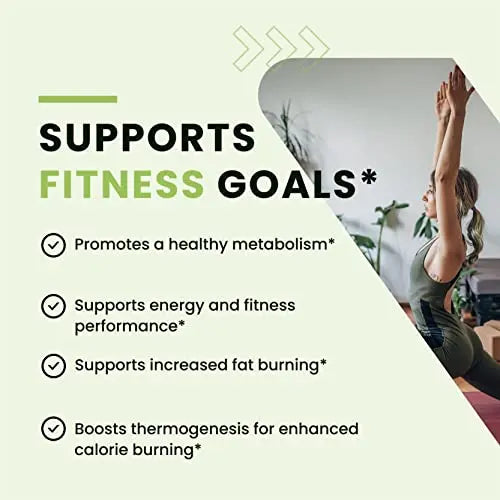 Green Tea Weight Loss Pills with Green Coffee Bean Extract | Belly Fat Burner, Metabolism Nobi Nutrition Au supplements