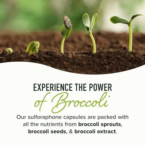 20MG Sulforaphane | From Broccoli Sprouts & Seed Extract | 565MG Microbeadlet SMNutrition Au supplements