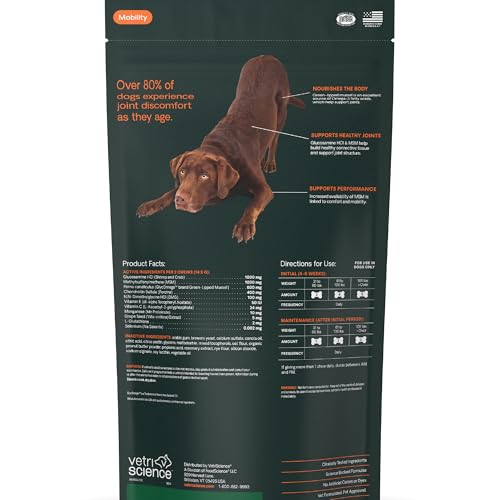 VetriScience Ultimate Strength Hip & Joint Supplement for Dogs, GlycoFlex Plus – MSM, Chondroitin & Green-Lipped Mussel Chews for Mobility, Flexibility, Comfort & Support, Peanut Butter Flavor 120 Cnt VETRISCIENCE Au supplements