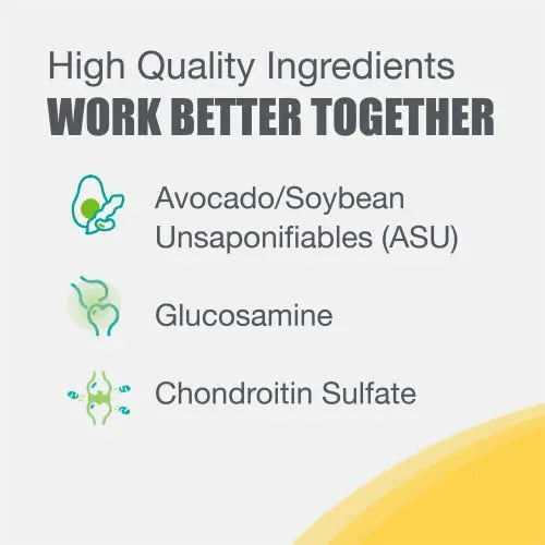 Nutramax Laboratories Dasuquin with MSM Joint Health Supplement for Large Dogs Nutramax Laboratories Au supplements