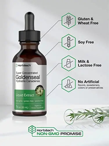 Goldenseal Root Extract Liquid | 1 fl oz Tincture | Super Concentrated | Alcohol Free Horbäach Au supplements