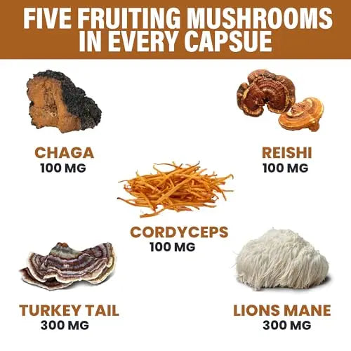 Zeus Naturals Lions Mane Capsules, Mushroom Supplement with Turkey Tail, Cordyceps Zeus Naturals Au supplements