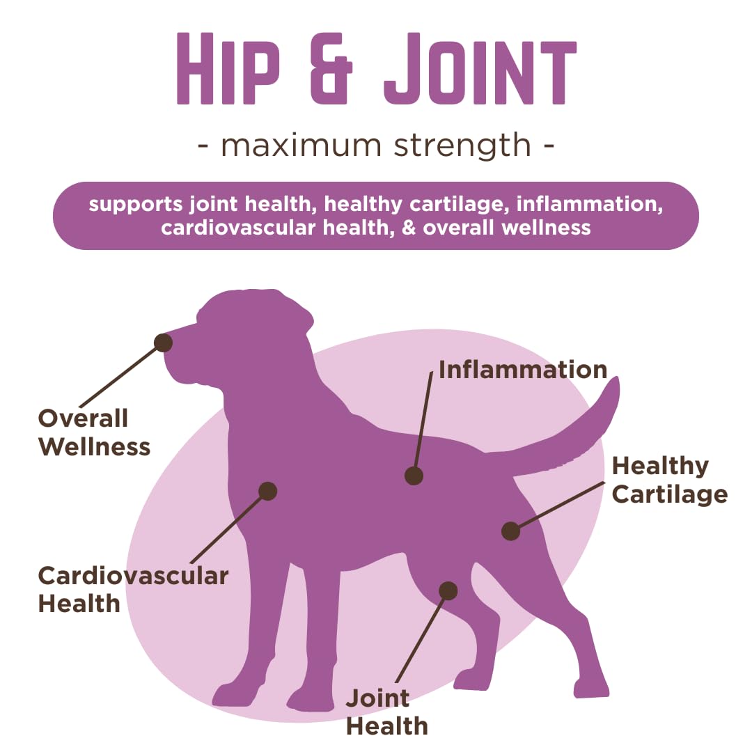 Dr. Joseph's VetPro Complete Dog Hip & Joint Supplement for Arthritis Pain Relief – High-Strength Glucosamine & Chondroitin Chews for Senior Dogs – Vet Formulated Daily Treats, Chicken Flavor, 120 Ct VetPro Complete Au supplements