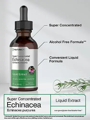 Echinacea Drops Liquid Extract | 2 fl oz | Super Concentrated Tincture | Alcohol Free Horbäach Au supplements