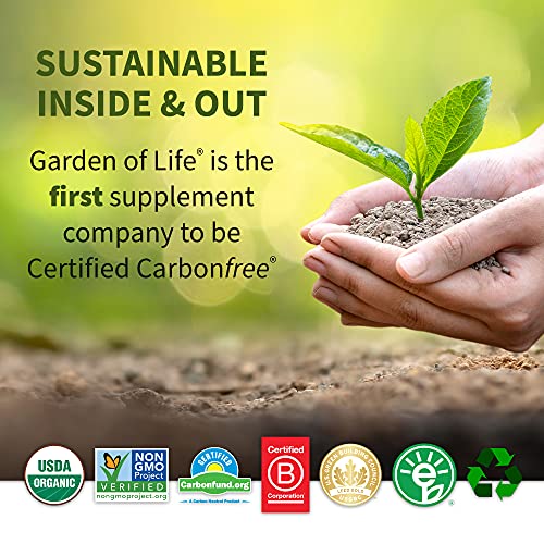 Garden of Life Raw Organic Fit Vegan Protein Powder Chocolate, 28g Plant Based Protein Garden of Life Au supplements