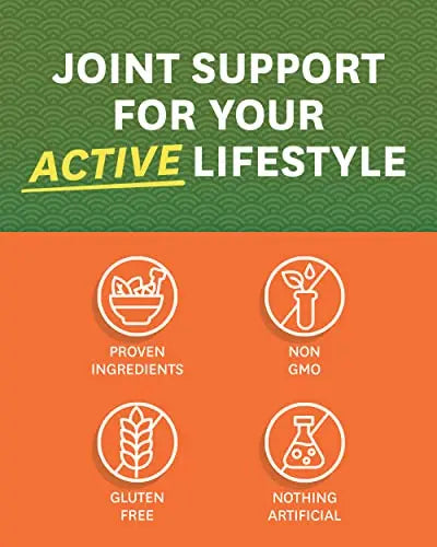 Zenwise Health Glucosamine Chondroitin MSM - Joint Support Supplement with Turmeric Zenwise Health Au supplements
