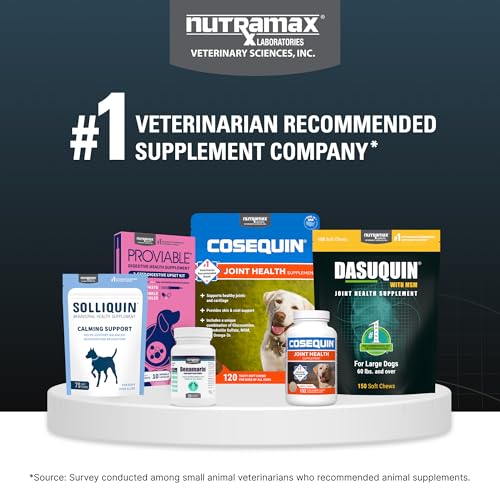 Nutramax Dasuquin for Small to Medium Dogs, Joint Health Supplement, Contains Glucosamine for Dogs, Plus Chondroitin, ASU, MSM and More, Supports Healthy Joints, Chewable Tablets, 150 Count Nutramax Laboratories Au supplements