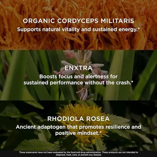The Genius Brand Rise + Shine Nootropic – Cordyceps & Rhodiola Rosea – Caffeine-Free Energy & Mood Support – Focus, Clarity & Emotional Balance – 30 Servings The Genius Brand Au supplements