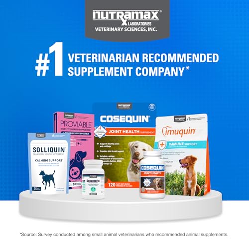 Nutramax Cosequin for Dogs Joint Health Supplement, Contains Glucosamine for Dogs, Plus Chondroitin, MSM and HA, Supports Healthy Joints, Chewable Tablets, 75 Count Nutramax Laboratories Au supplements