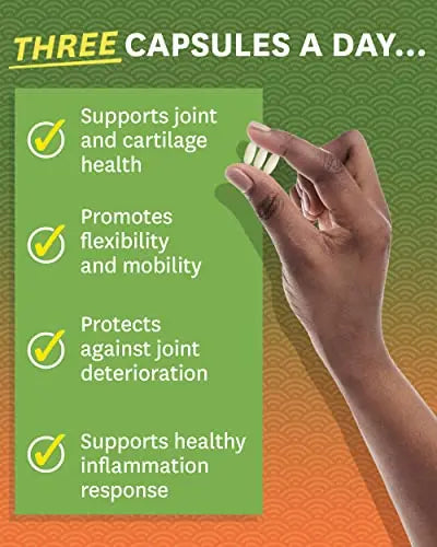 Zenwise Health Glucosamine Chondroitin MSM - Joint Support Supplement with Turmeric Zenwise Health Au supplements