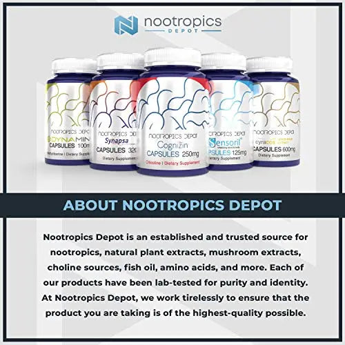 Nootropics Depot Agmatine Sulfate Capsules | 250mg | 240 Count | Energy Supplement Nootropics Depot Au supplements