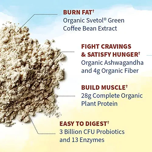 Garden of Life Raw Organic Fit Vegan Protein Powder Coffee, 28g Plant Based Protein Garden of Life Au supplements