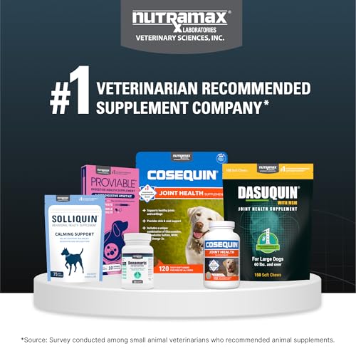 Nutramax Dasuquin for Large Dogs, Joint Health Supplement, Contains Glucosamine for Dogs, Plus Chondroitin, ASU and More, Supports Healthy Joints, Soft Chews, 150 Count Nutramax Laboratories Au supplements