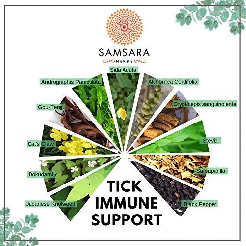 Samsara Herbs Tick Immune Support - The Original Herbal Formula (240 Capsules) Samsara Herbs Au supplements
