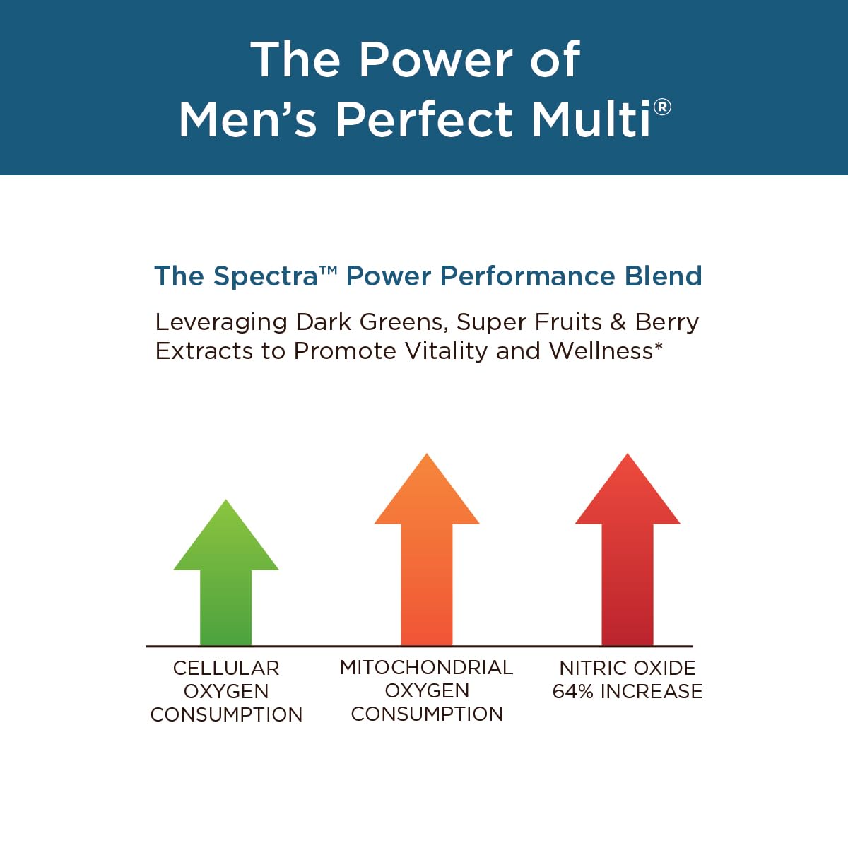 Purity Products Men's Perfect Multi from Vitamins, Minerals and Phytonutrients - Promotes Energy, Vitality and Stamina - Easy to Swallow - 90 Tablets Purity Products Au supplements