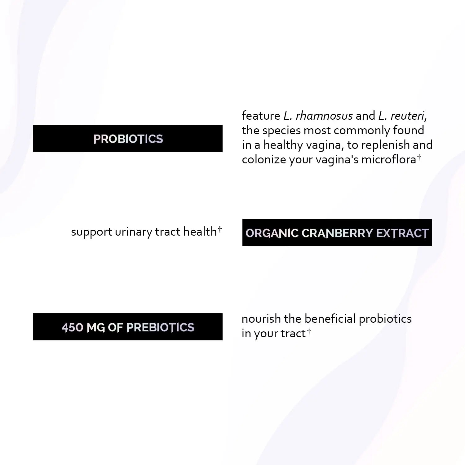 Undone By Nature Probiotic for Women, 50 Billion CFU Women's Probiotics with Prebiotics Undone By Nature Au supplements