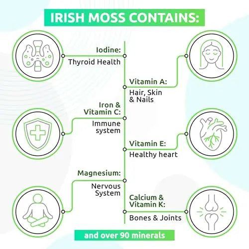 TrueSeaMoss Wildcrafted Irish Sea Moss Gel – Nutritious Raw Seamoss Rich in Minerals TrueSeaMoss Au supplements