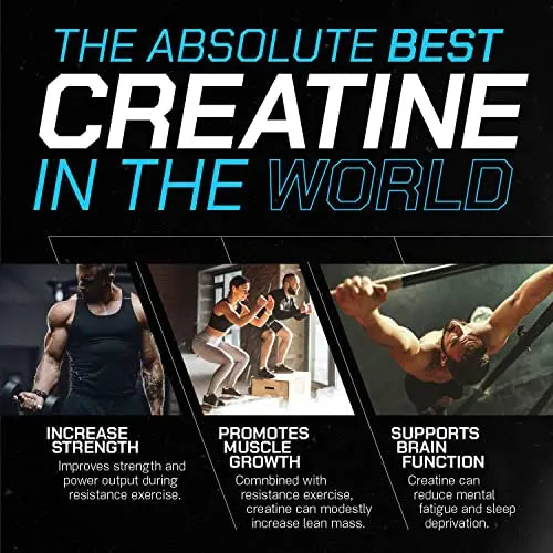 Muscle Feast Creapure Creatine Monohydrate Powder for Muscle Growth Nutritional Muscle Feast Au supplements