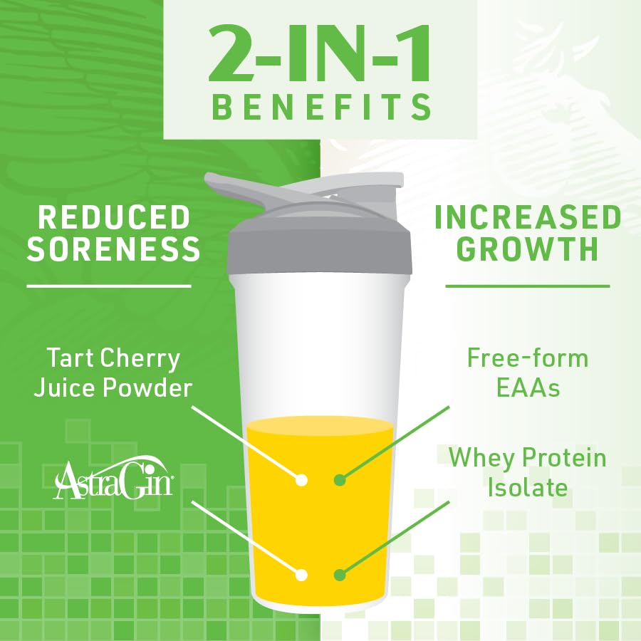SHIFTED Whey Protein Isolate Protein Powder Post Workout Recovery Drink Mix SHIFTED Au supplements