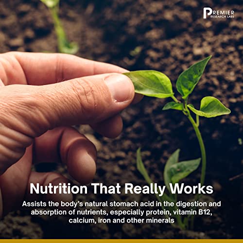 Premier Research Labs Galactan - Prebiotics for Regularity & Healthy Microbiome Premier Research Labs Au supplements