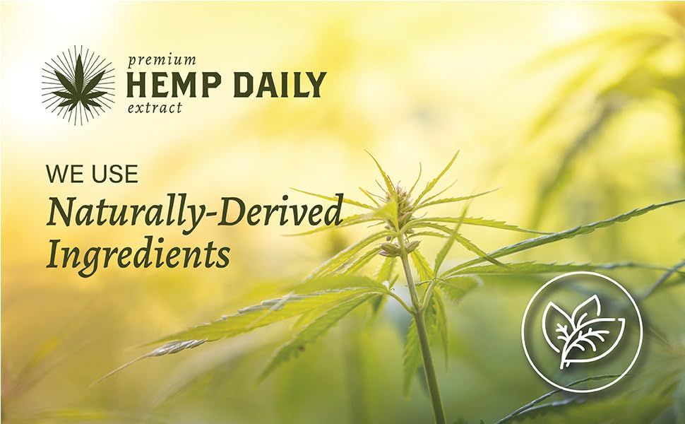 Hemp Daily Active Spray | Hemp Spray with Essential Oils | Vegan, Organic Ingredients | 2 Fluid Ounces (Original Spray, Single) Premium Hemp Extract Daily Au supplements