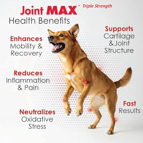 Joint Max TS Joint Supplement Vet Formulated Pain & Inflammation Relief Treats Hip Dysplasia & Arthritis, Glucosamine, Chondroitin, Turmeric, MSM, HA, Creatine, Omega 3 EPA + DHA.120 Soft Chews Joint Max Au supplements