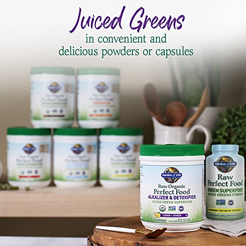 Garden of Life Raw Organic Perfect Food Alkalizer and Detoxifier, Lemon Ginger Flavored Superfood Powder Supplement, 30 Servings Garden of Life Au supplements