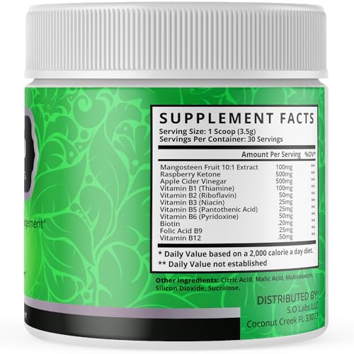 (2 Pack) Fast Lean Pro Advanced Formula Supplement Powder - Fast Lean Pro Hydrating S.O Labs Au supplements