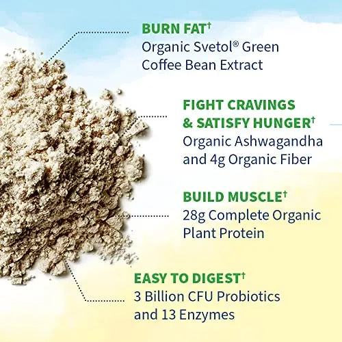 Garden of Life Raw Organic Fit Vegan Protein Powder Original, 28g Plant Based Protein Garden of Life Au supplements