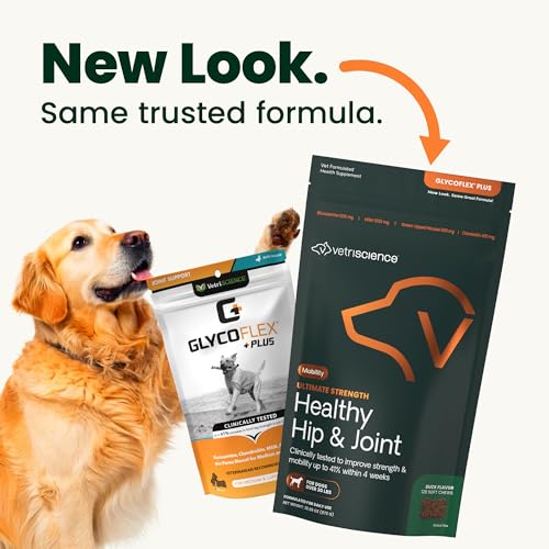 VetriScience Ultimate Strength Healthy Hip & Joint Chews, GlycoFlex Glucosamine, Chondroitin and Green-Lipped Mussel Joint Support Supplement for Dogs, Soothe Joint Discomfort, Duck, 120 Count VETRISCIENCE Au supplements