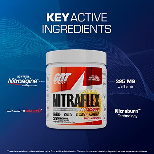 GAT SPORT NITRAFLEX Burn, Pre Workout Thermogenic Powder, Apple Melon, 30 Servings GAT SPORT Au supplements