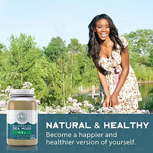 Herbal Vineyards Natural Organic Wildcrafted Gold Raw Sea Moss Gel for Immune Support Herbal Vineyards Au supplements