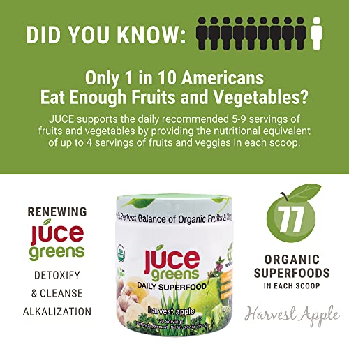 Terra Kai Organics JUCE Green Superfood Powder, Organic Fruits and Veggies Supplement Terra Kai Organics Au supplements