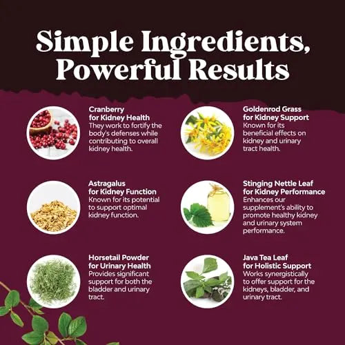 Kidney Support Cranberry Pills for Women and Men - High Strength Kidney Cleanse Detox Natures Craft Au supplements