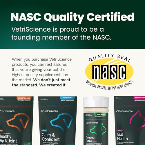 VetriScience Ultimate Strength Hip & Joint Supplement for Dogs, GlycoFlex Plus – MSM, Chondroitin & Green-Lipped Mussel Chews for Mobility, Flexibility, Comfort & Support, Peanut Butter Flavor 120 Cnt VETRISCIENCE Au supplements
