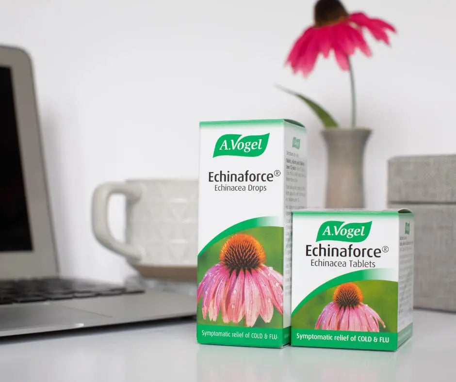 A.Vogel Echinaforce Echinacea Tablets | Relieves Cold & Flu Symptoms by Strengthening A.Vogel Au supplements