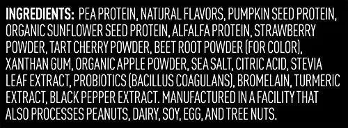 Vega Premium Sport Protein Berry Protein Powder, Vegan, Non GMO, Gluten Free Plant Vega Au supplements