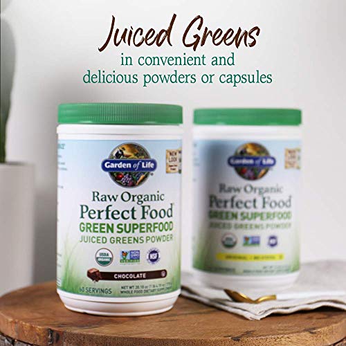 Garden of Life Raw Organic Perfect Food Green Superfood Juiced Greens Powder - Chocolate, 60 Servings, Non-GMO, Gluten Free, Vegan Whole Food Dietary Supplement Plus Probiotics, Enzymes Garden of Life Au supplements