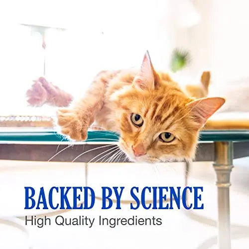 Nutramax Cobalequin B12 Supplement for Cats and Small Dogs, 45 Count (Pack of 1) Nutramax Laboratories Au supplements
