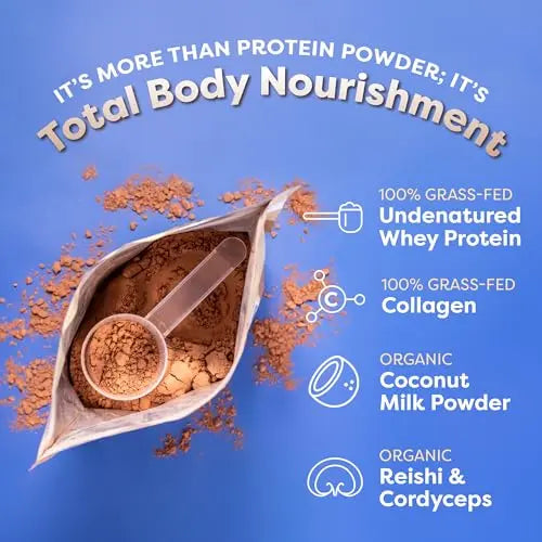 FlavCity Protein Powder Smoothie, Chocolate - 100% Grass-Fed Whey Protein Smoothie FlavCity Au supplements