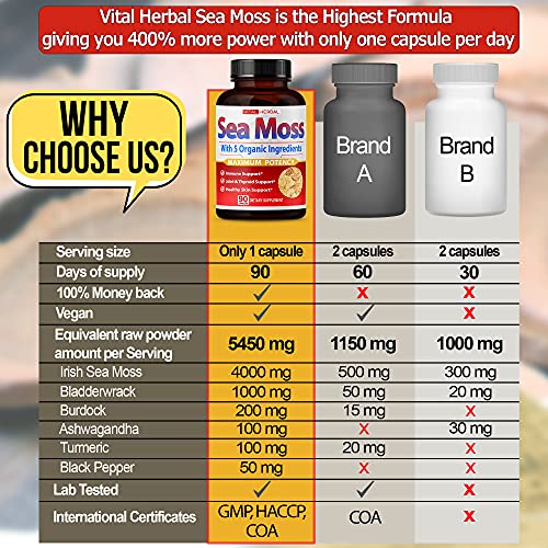 VITAL HERBAL Irish Sea Moss Capsules Equivalent to 5450mg - Maximum Potency VITAL HERBAL Au supplements