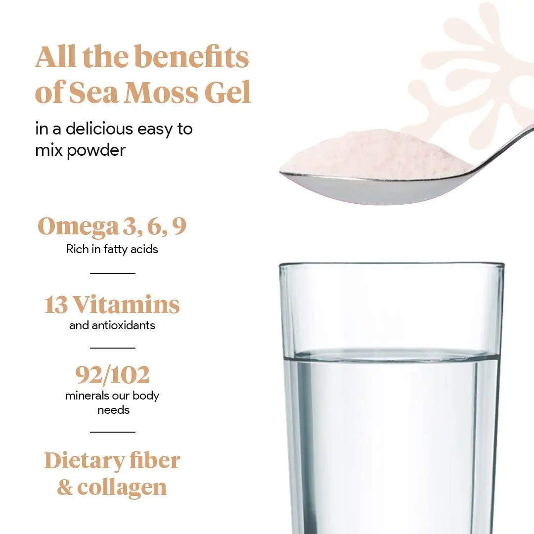 Organic Sea Moss Superfood Powder with Ashwagandha, Beet Root, and Maca Atlantic Naturals Au supplements